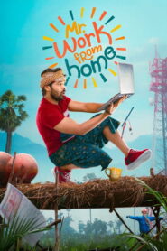 Mr. Work from Home